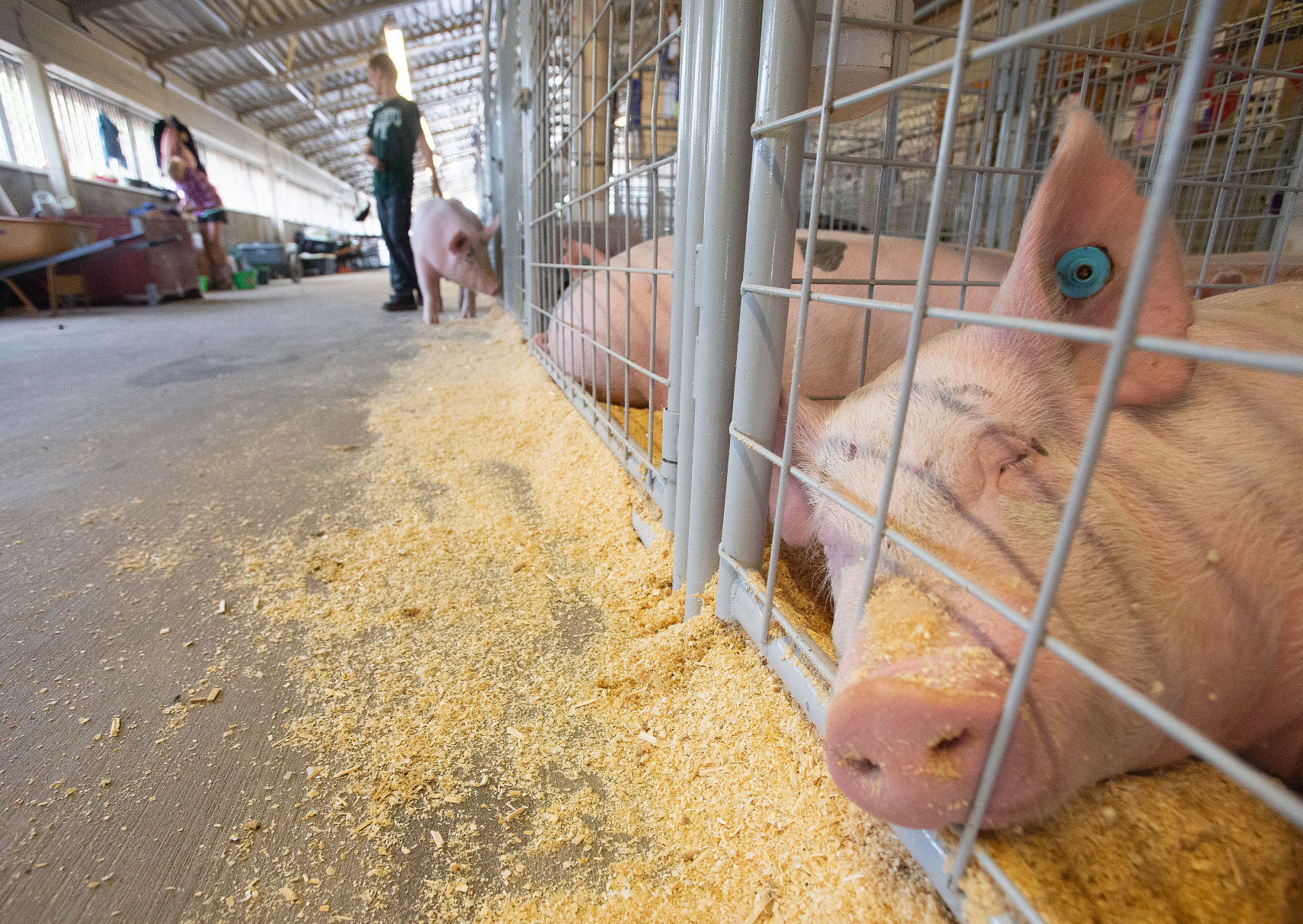 190910-newslocal-fair 03.JPG